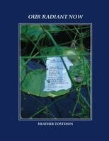Heather Tosteson - Our Radiant Now, Häftad