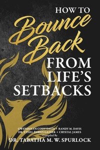 bokomslag How to Bounce Back from Life's Setbacks