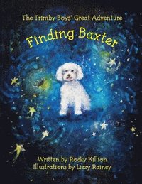 bokomslag The Trimby Boys' Great Adventure: Finding Baxter