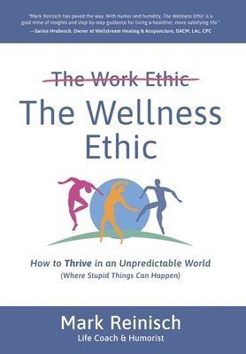 bokomslag The Wellness Ethic: How to Thrive in an Unpredictable World (Where Stupid Things Can Happen)