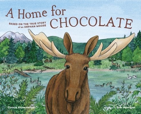 Home for Chocolate