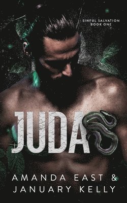 bokomslag Judas