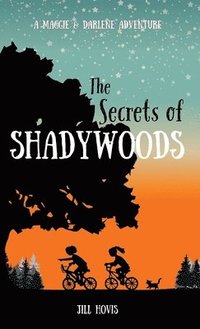 bokomslag The Secrets of Shadywoods