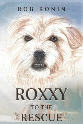 bokomslag Roxxy to the Rescue