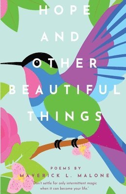 bokomslag Hope and Other Beautiful Things