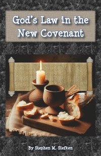 bokomslag God's Law in the New Covenant