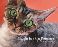 bokomslag Caught in a Cat Romance
