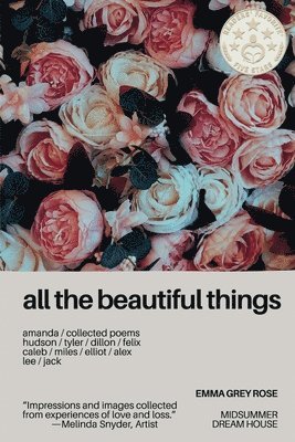 bokomslag All The Beautiful Things