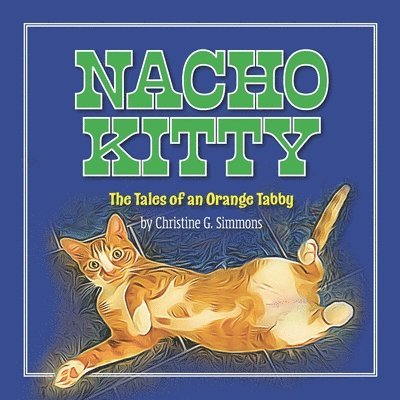 Nacho Kitty 1