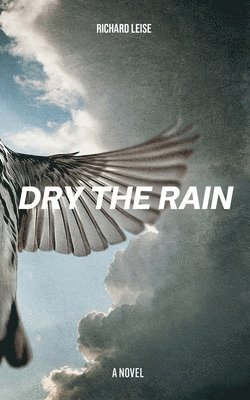 Richard Leise - Dry The Rain, Häftad
