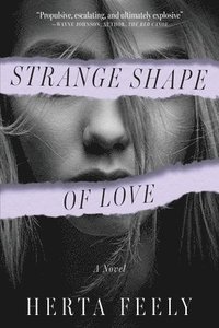 bokomslag Strange Shape of Love