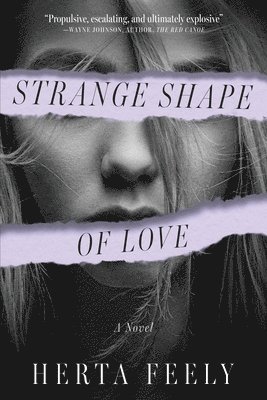 bokomslag Strange Shape of Love