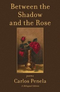 bokomslag Between the Shadow and the Rose. Selected poems 2001-2024