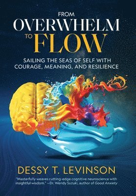 From Overwhelm to Flow: Sailing the Seas of Self with Courage, Meaning, and Resilience 1