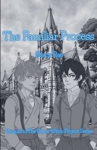 bokomslag Familiar Process