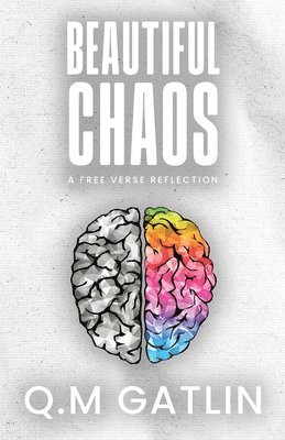 bokomslag Beautiful Chaos: A Free Verse Reflection