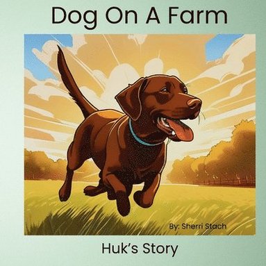 bokomslag Dog On A Farm Huk's Story