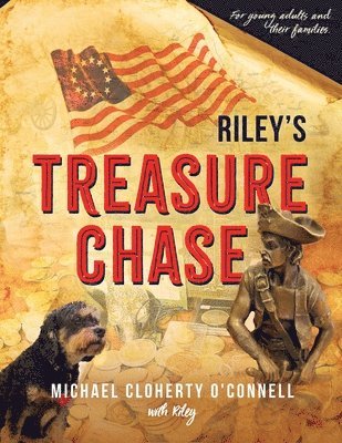 bokomslag Riley's Treasure Chase