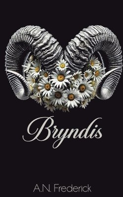bokomslag Bryndis