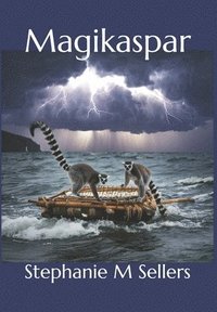 bokomslag Magikaspar