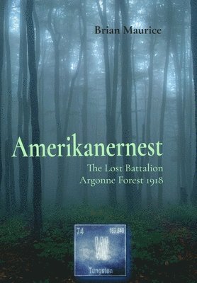 bokomslag Amerikanernest