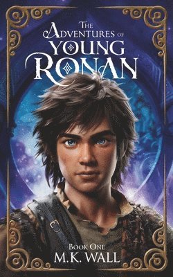 bokomslag The Adventures of Young Ronan