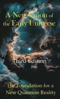 bokomslag A New Vision of the Early Universe
