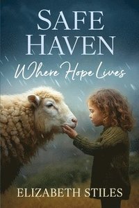 bokomslag Safe Haven