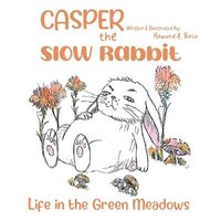 bokomslag Casper the Slow Rabbit