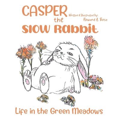 Casper the Slow Rabbit 1