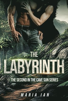 The Labyrinth 1