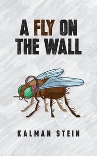 bokomslag Fly on the Wall