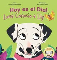 bokomslag Hoy es el Dia!: Luna Conocio a Lily