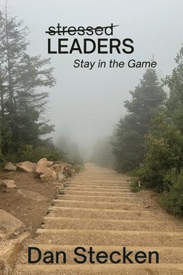 bokomslag Stressed Leaders