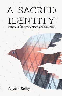 bokomslag Sacred Identity