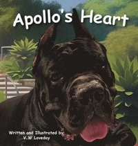 bokomslag Apollo's Heart: A Story of Friendship, Acceptance, and Big Hearts for Young Readers