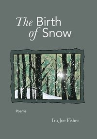 bokomslag The Birth of Snow: Poems