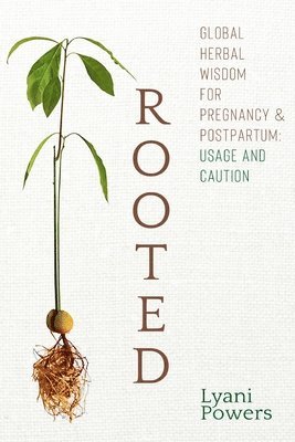 bokomslag Rooted