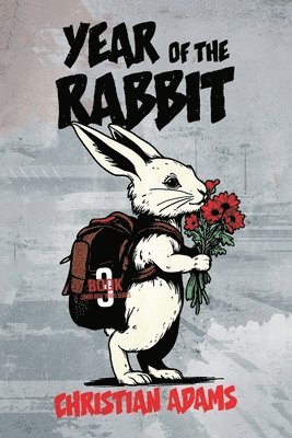 bokomslag Year of the Rabbit