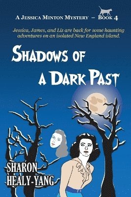 bokomslag Shadows of a Dark Past