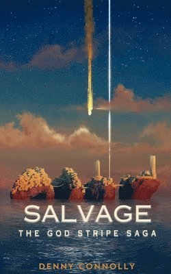 Salvage 1