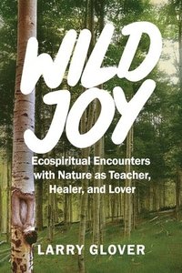 bokomslag Wild Joy: EcoSpiritual Encounters with Nature as Teacher, Healer, and Lover