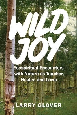 bokomslag Wild Joy: EcoSpiritual Encounters with Nature as Teacher, Healer, and Lover