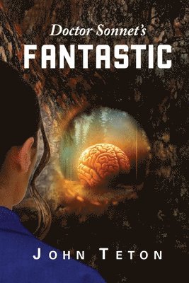 bokomslag Doctor Sonnet's Fantastic