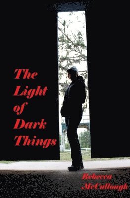 bokomslag The Light of Dark Things