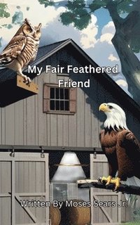 bokomslag My Fair Feathered Friend