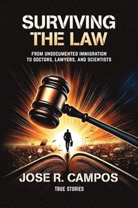 bokomslag Surviving the law