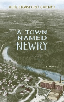 Alix Carney - Town Named Newry, Häftad