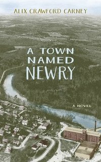 bokomslag A Town Named Newry