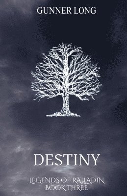 bokomslag Destiny
